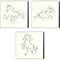Framed 'Line Horse 3 Piece Canvas Print Set' border=