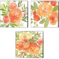 Framed 'Peachy Floral 3 Piece Canvas Print Set' border=