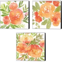 Framed 'Peachy Floral 3 Piece Canvas Print Set' border=