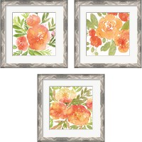 Framed 'Peachy Floral 3 Piece Framed Art Print Set' border=