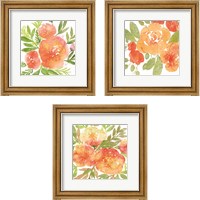 Framed 'Peachy Floral 3 Piece Framed Art Print Set' border=