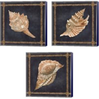Framed 'Seashell on Navy 3 Piece Canvas Print Set' border=