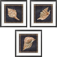 Framed 'Seashell on Navy 3 Piece Framed Art Print Set' border=