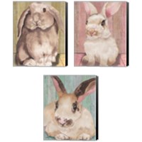Framed 'Bunny  3 Piece Canvas Print Set' border=
