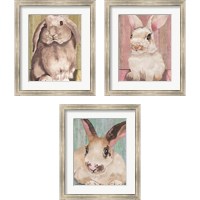 Framed 'Bunny  3 Piece Framed Art Print Set' border=