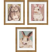 Framed Bunny  3 Piece Framed Art Print Set