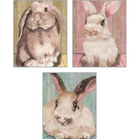 Framed 'Bunny  3 Piece Art Print Set' border=
