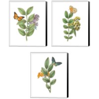 Framed 'Greenery Butterflies 3 Piece Canvas Print Set' border=