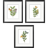 Framed Greenery Butterflies 3 Piece Framed Art Print Set