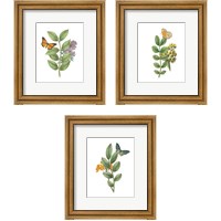 Framed Greenery Butterflies 3 Piece Framed Art Print Set