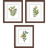 Framed Greenery Butterflies 3 Piece Framed Art Print Set