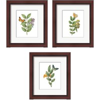 Framed Greenery Butterflies 3 Piece Framed Art Print Set