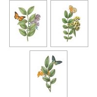 Framed 'Greenery Butterflies 3 Piece Art Print Set' border=