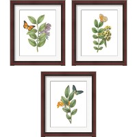Framed 'Greenery Butterflies 3 Piece Framed Art Print Set' border=