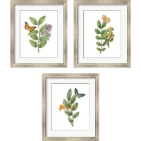 Framed 'Greenery Butterflies 3 Piece Framed Art Print Set' border=