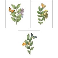 Framed Greenery Butterflies 3 Piece Art Print Set