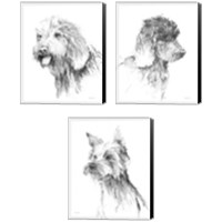 Framed Traditional Dog Sketch 3 Piece Canvas Print Set