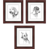 Framed 'Traditional Dog Sketch 3 Piece Framed Art Print Set' border=