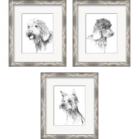 Framed 'Traditional Dog Sketch 3 Piece Framed Art Print Set' border=