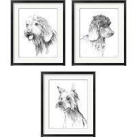 Framed Traditional Dog Sketch 3 Piece Framed Art Print Set