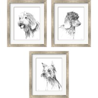 Framed Traditional Dog Sketch 3 Piece Framed Art Print Set