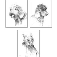 Framed Traditional Dog Sketch 3 Piece Art Print Set