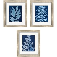 Framed 'Enchanted Cyanotype 3 Piece Framed Art Print Set' border=