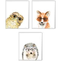 Framed 'Animal in Glasses 3 Piece Canvas Print Set' border=