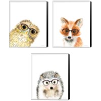 Framed 'Animal in Glasses 3 Piece Canvas Print Set' border=