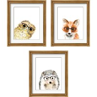 Framed Animal in Glasses 3 Piece Framed Art Print Set