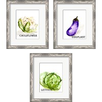 Framed 'Veggie Sketch 3 Piece Framed Art Print Set' border=