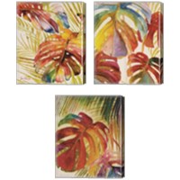 Framed Tropic Botanicals 3 Piece Canvas Print Set