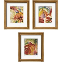 Framed 'Tropic Botanicals 3 Piece Framed Art Print Set' border=