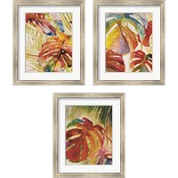 Framed 'Tropic Botanicals 3 Piece Framed Art Print Set' border=