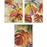 Framed 'Tropic Botanicals 3 Piece Art Print Set' border=
