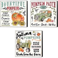 Framed 'Harvest Times 3 Piece Canvas Print Set' border=