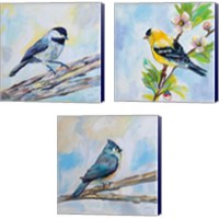 Framed 'Birds on Blue 3 Piece Canvas Print Set' border=