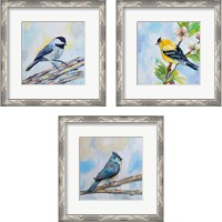 Framed 'Birds on Blue 3 Piece Framed Art Print Set' border=