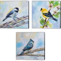 Framed 'Birds on Blue 3 Piece Canvas Print Set' border=
