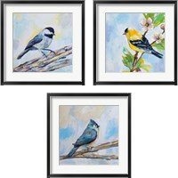 Framed Birds on Blue 3 Piece Framed Art Print Set