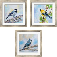 Framed Birds on Blue 3 Piece Framed Art Print Set