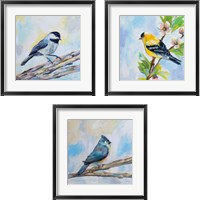 Framed 'Birds on Blue 3 Piece Framed Art Print Set' border=