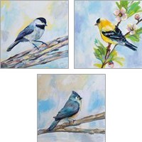 Framed Birds on Blue 3 Piece Art Print Set