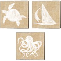 Framed 'Driftwood Coast White Burlap 3 Piece Canvas Print Set' border=