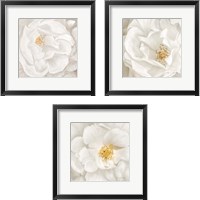 Framed Neutral Rose 3 Piece Framed Art Print Set