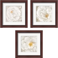 Framed 'Neutral Rose 3 Piece Framed Art Print Set' border=