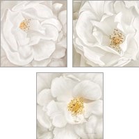 Framed 'Neutral Rose 3 Piece Art Print Set' border=