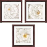 Framed Neutral Rose 3 Piece Framed Art Print Set