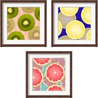 Framed 'Colorful Fruit 3 Piece Framed Art Print Set' border=