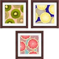 Framed Colorful Fruit 3 Piece Framed Art Print Set